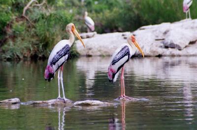Prominent Agra and Bharatpur Tour